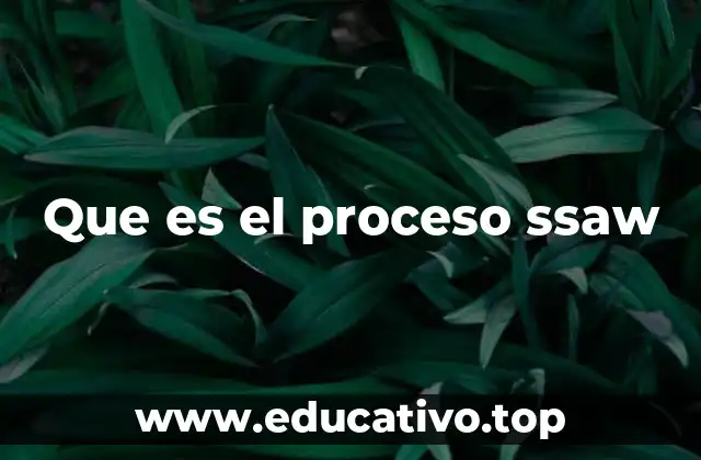 Que es el proceso ssaw