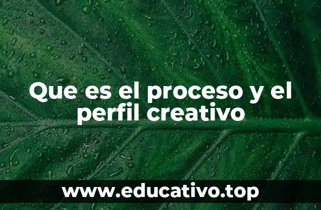Que es el proceso y el perfil creativo