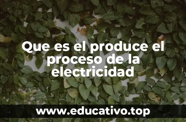 Que es el produce el proceso de la electricidad