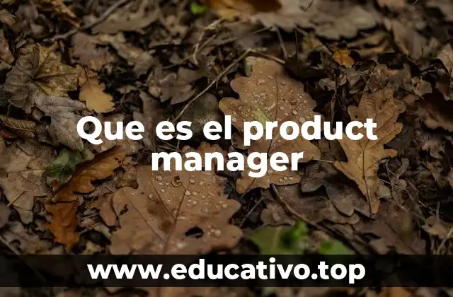 Que es el product manager