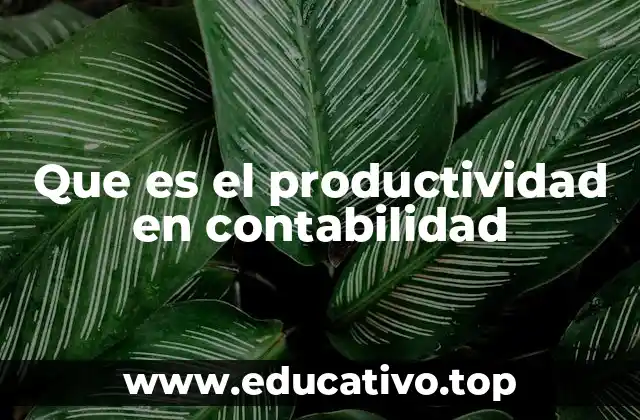 Que es el productividad en contabilidad