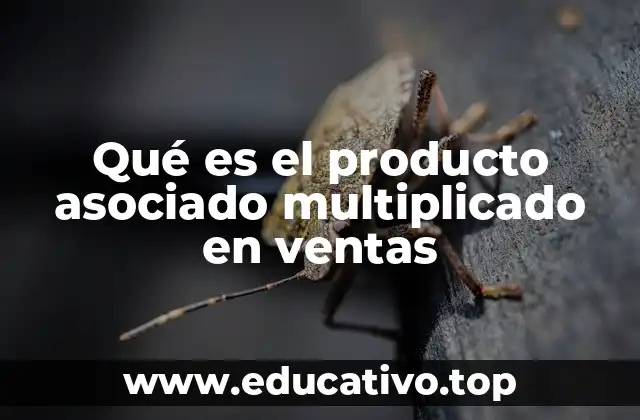 Qué es el producto asociado multiplicado en ventas
