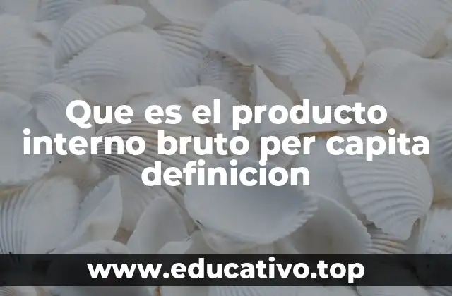 Que es el producto interno bruto per capita definicion