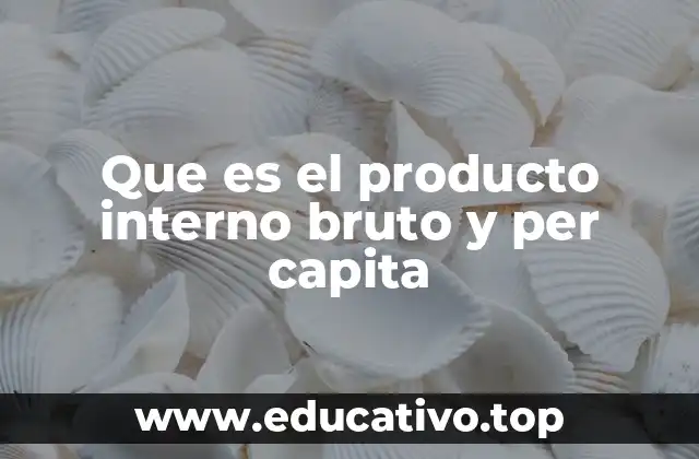 Que es el producto interno bruto y per capita