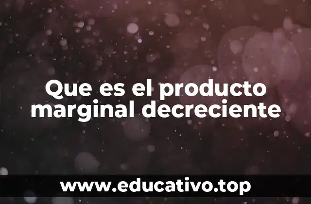 Que es el producto marginal decreciente