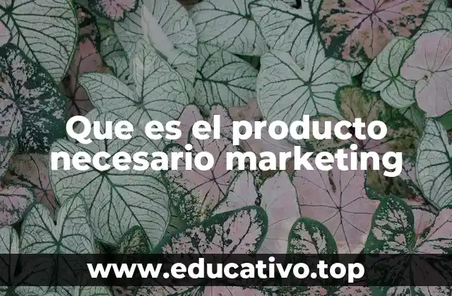Que es el producto necesario marketing