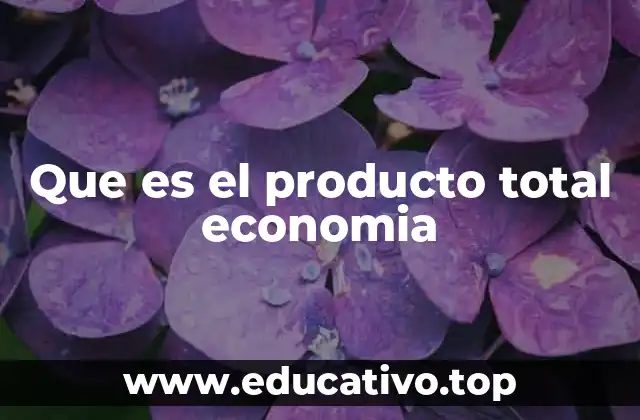 Que es el producto total economia
