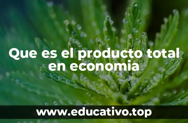 La importancia del producto total en la medición económica