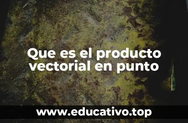 Que es el producto vectorial en punto