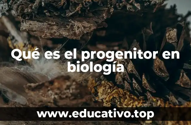 Qué es el progenitor en biología