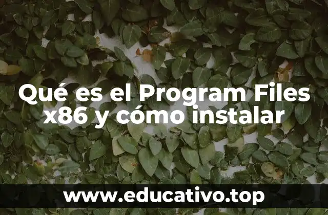 Qué es el Program Files x86 y cómo instalar