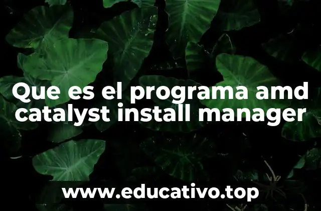 Que es el programa amd catalyst install manager