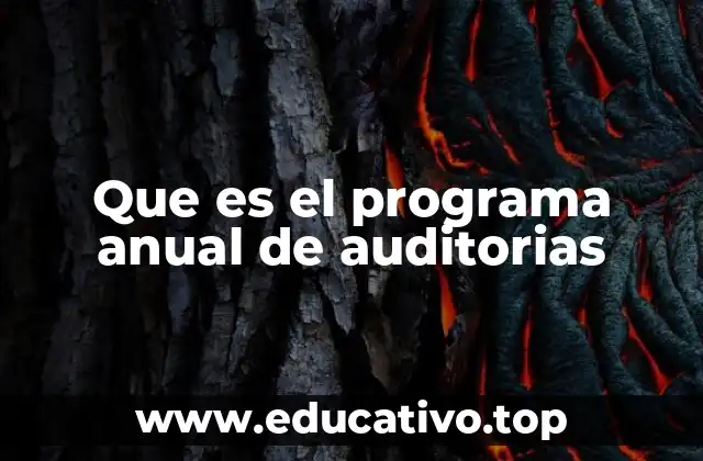 Que es el programa anual de auditorias