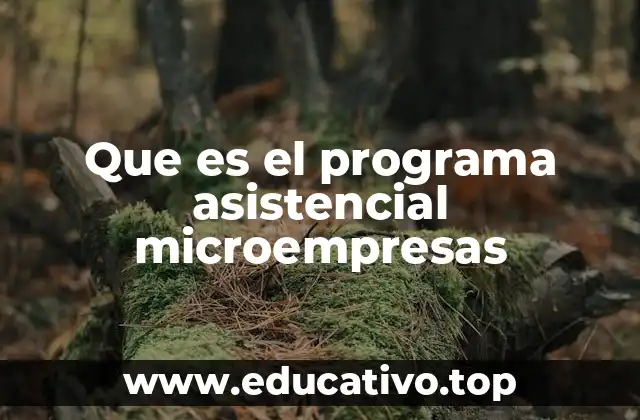 Que es el programa asistencial microempresas