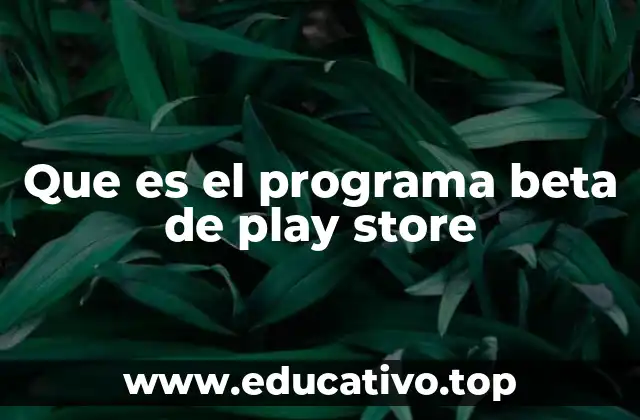 Que es el programa beta de play store