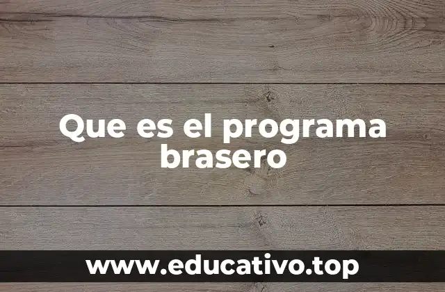 Que es el programa brasero