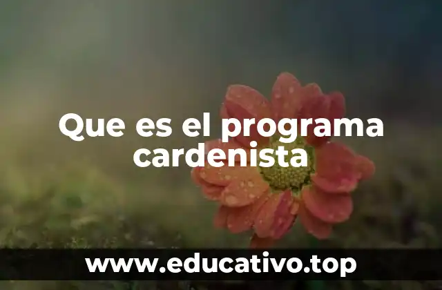 Que es el programa cardenista