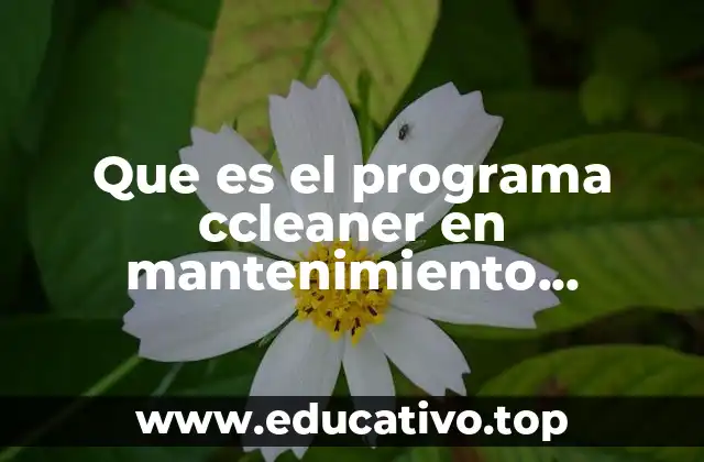 Que es el programa ccleaner en mantenimiento correctivo y preventivo