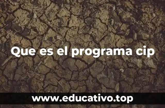 Que es el programa cip