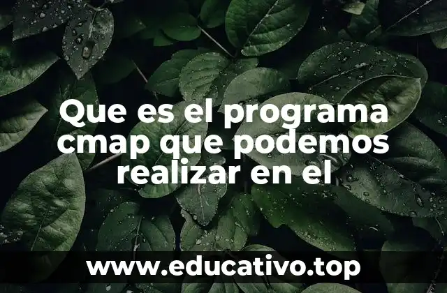Que es el programa cmap que podemos realizar en el