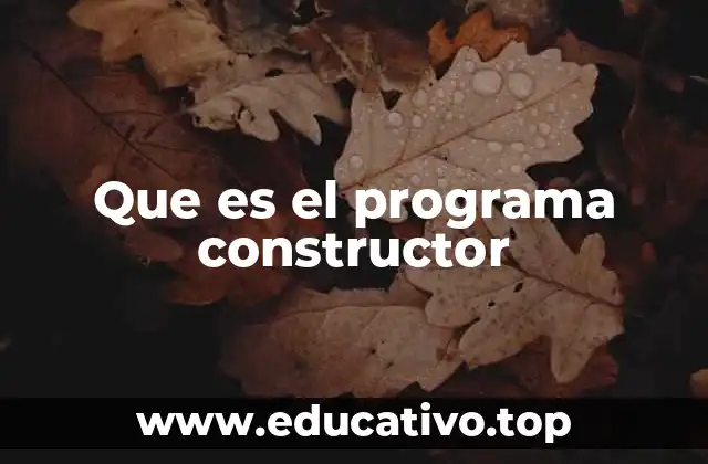 Que es el programa constructor