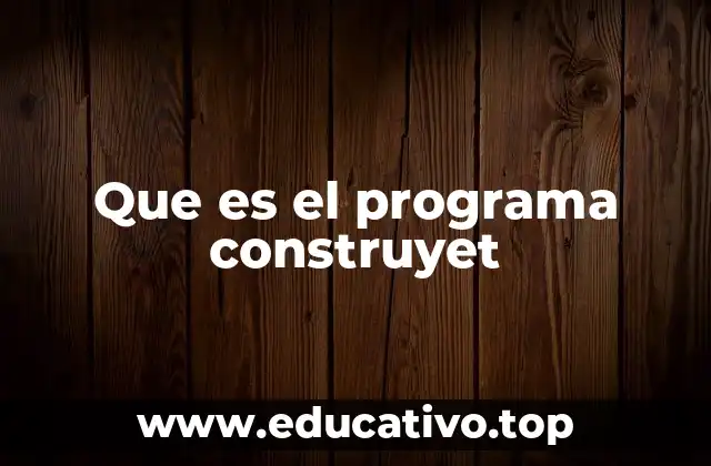 Que es el programa construyet