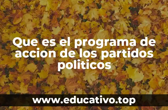 Que es el programa de accion de los partidos politicos