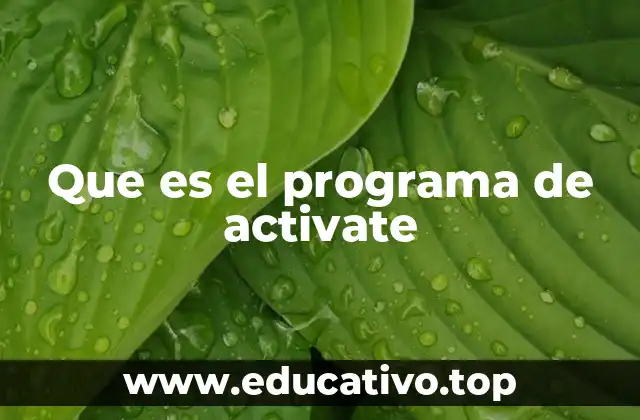 Que es el programa de activate