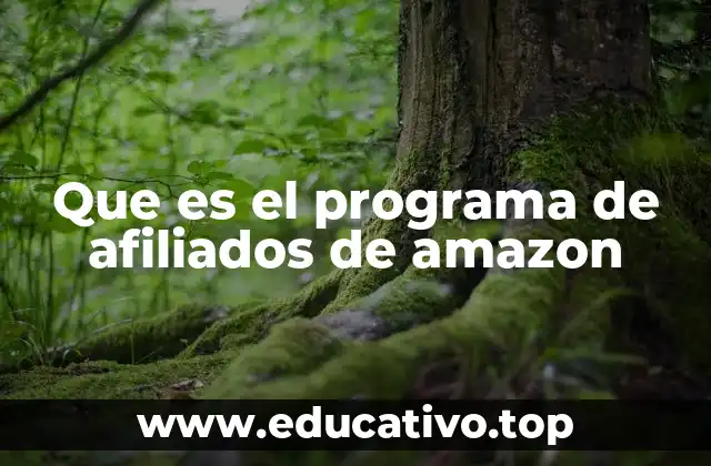 Que es el programa de afiliados de amazon