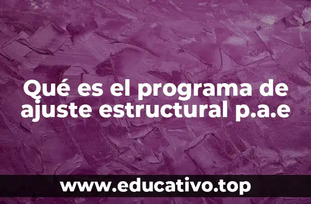 Qué es el programa de ajuste estructural p.a.e