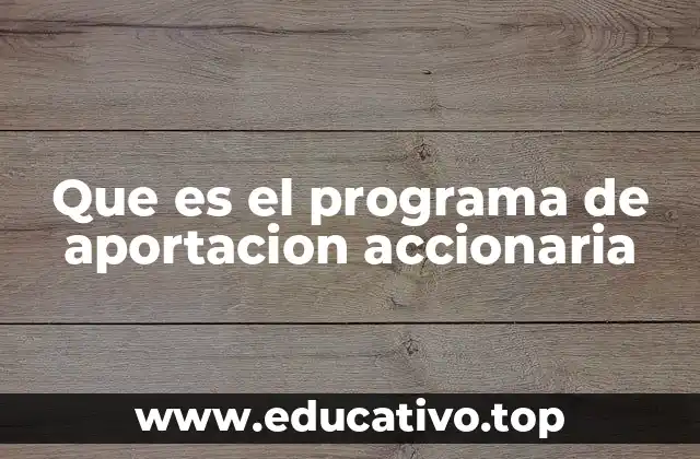 Que es el programa de aportacion accionaria