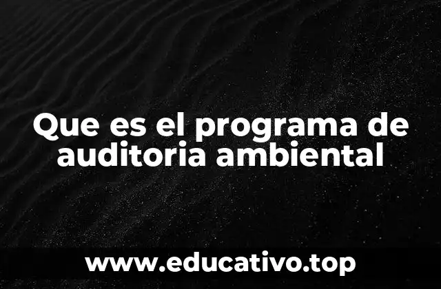 Que es el programa de auditoria ambiental