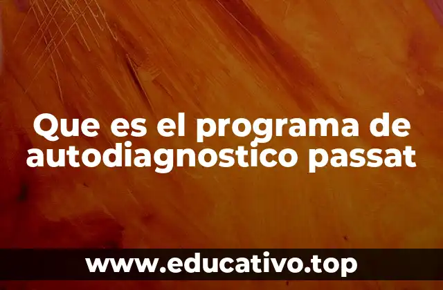 Que es el programa de autodiagnostico passat