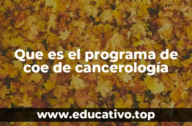 Que es el programa de coe de cancerología