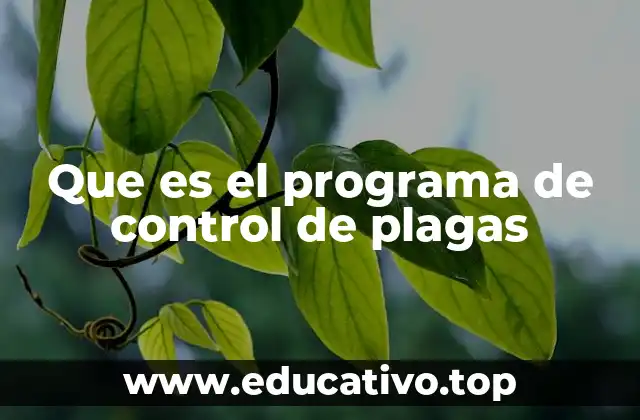 La importancia de mantener entornos libres de infestaciones