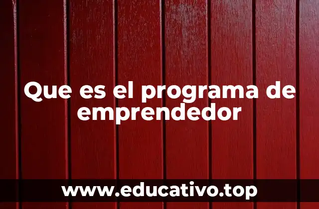 Cómo se estructura un programa de emprendedor
