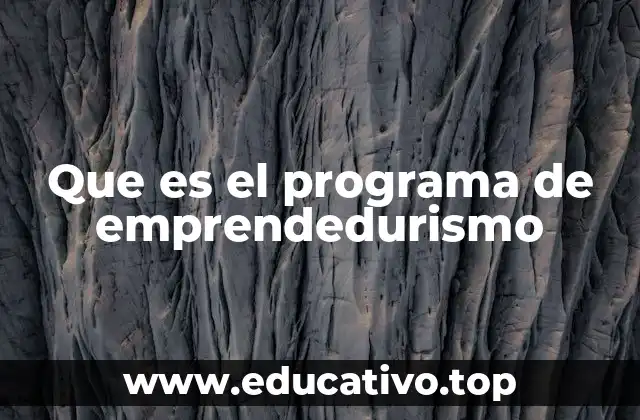 Que es el programa de emprendedurismo