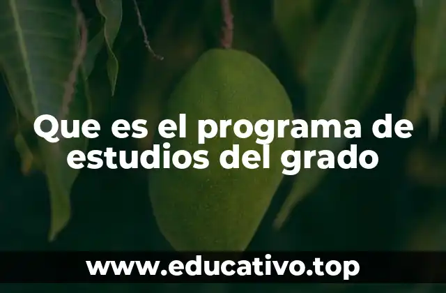 Que es el programa de estudios del grado