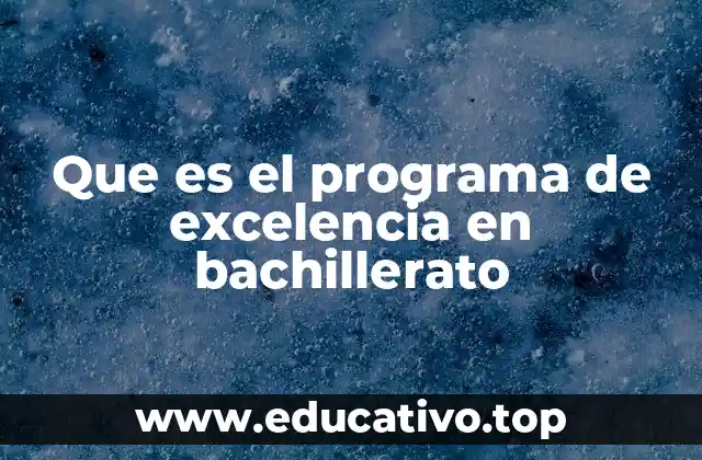 Características de los programas de excelencia académica