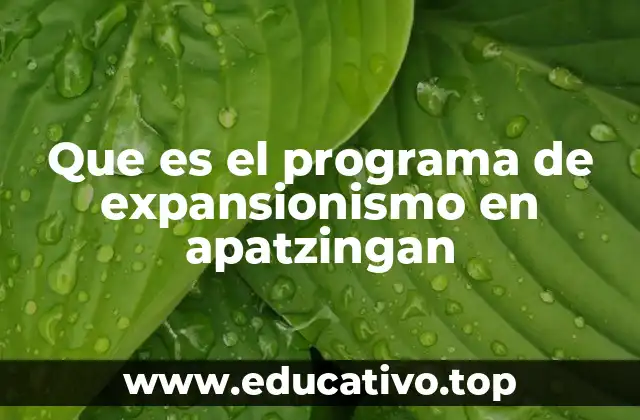 Que es el programa de expansionismo en apatzingan