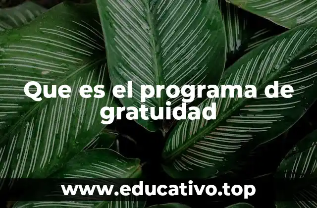 Que es el programa de gratuidad