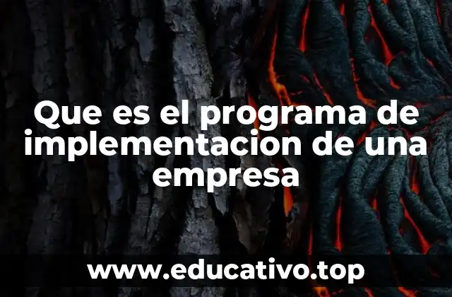Que es el programa de implementacion de una empresa