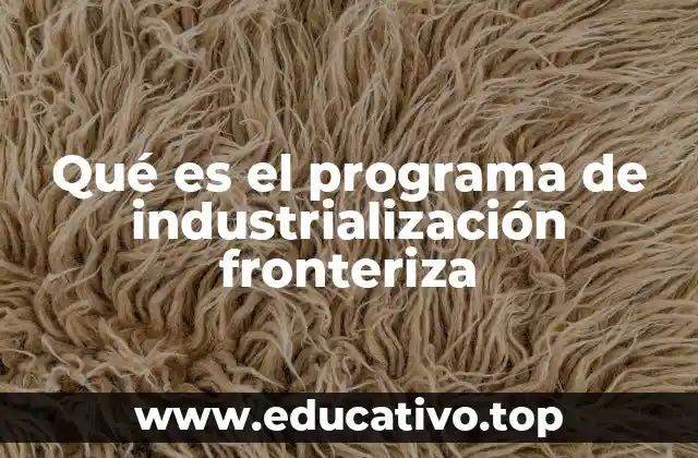 Qué es el programa de industrialización fronteriza