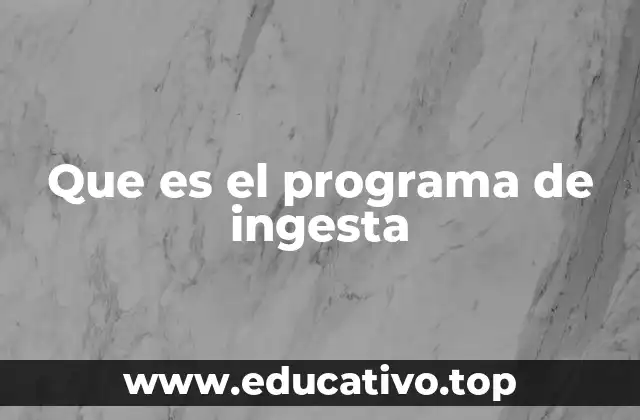 Que es el programa de ingesta