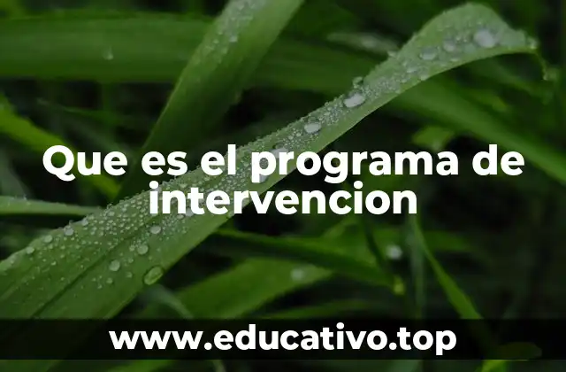 Que es el programa de intervencion