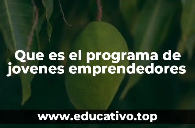 Que es el programa de jovenes emprendedores
