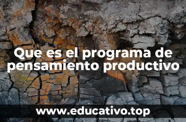 Que es el programa de pensamiento productivo