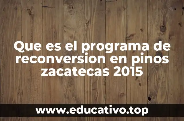 Impacto económico y social del programa en Pinos