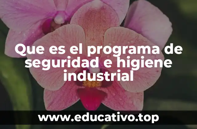 Que es el programa de seguridad e higiene industrial