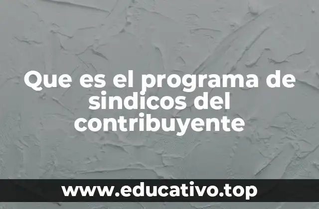 Que es el programa de sindicos del contribuyente